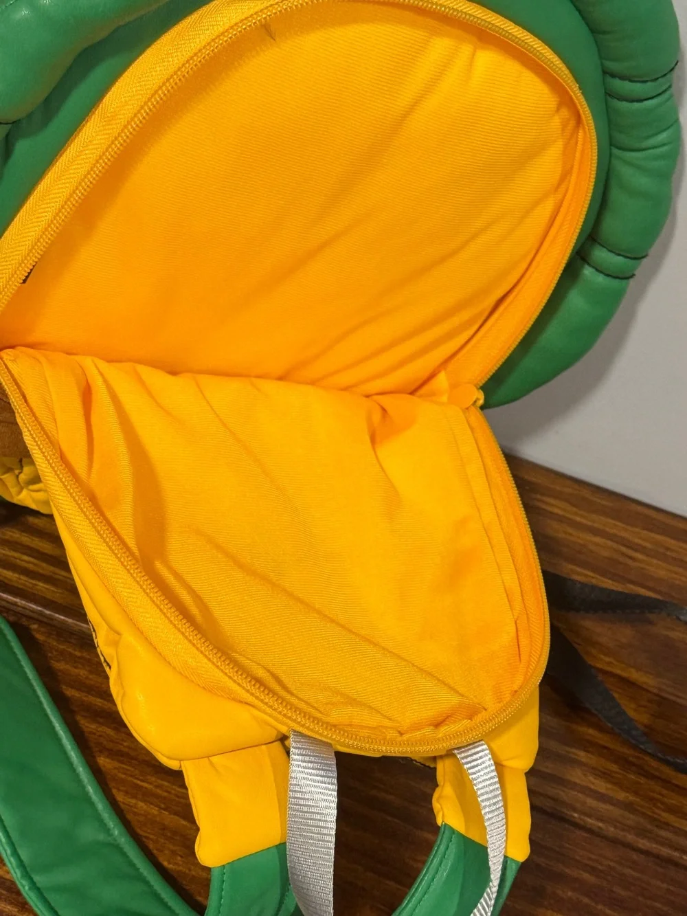 Teenage Mutant Ninja Turtles playful turtle